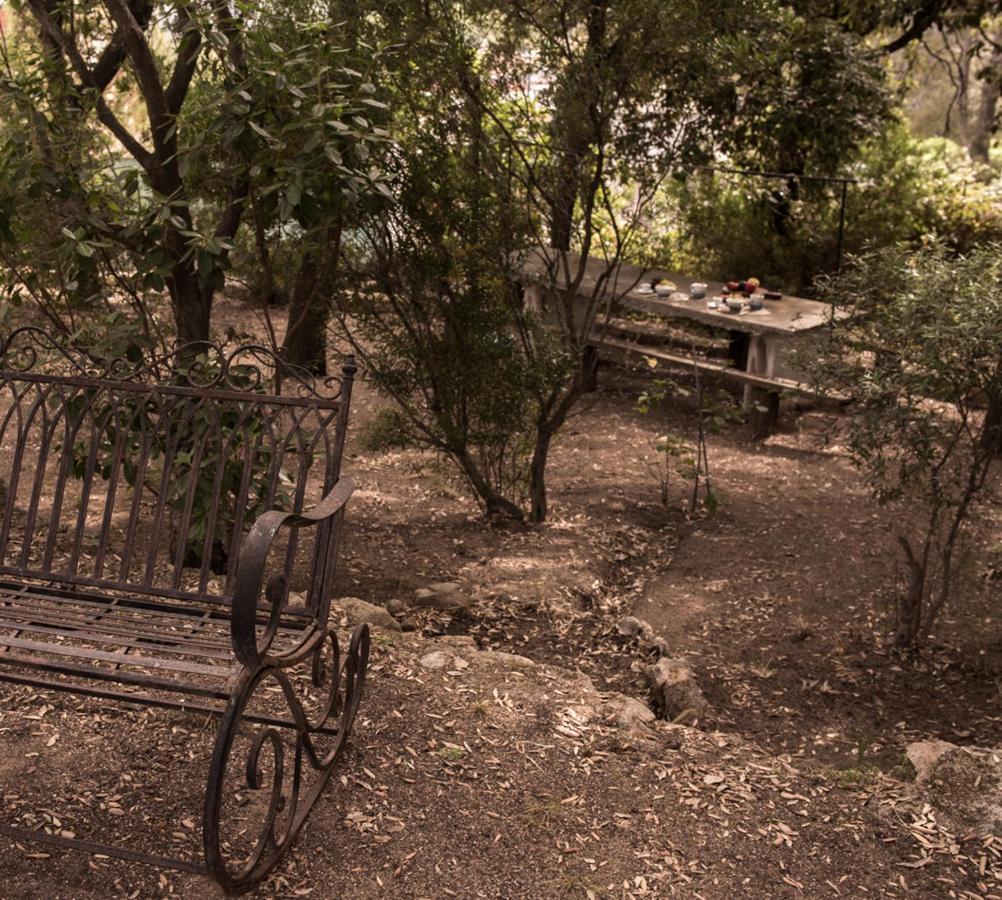 Nel Giardino Dei Pesci Volanti Villa San Pantaleo Bagian luar foto